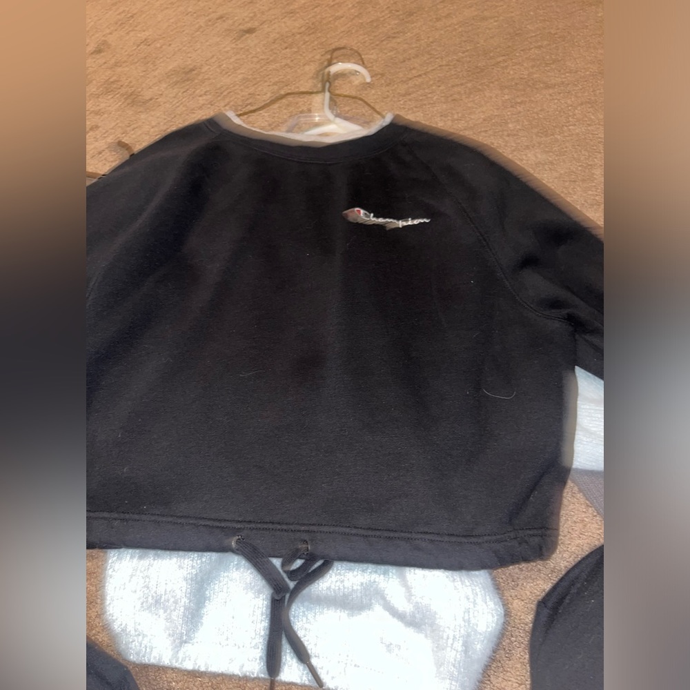 Champion crewneck crop top